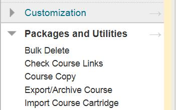 Any existing packages will be displayed on the Export / Archive Course page.