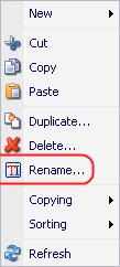 6.1.5.5 Renaming Items There are two ways to rename items. 6.1.5.5.1 Via the Rename Command Select the item to be renamed and click on the Rename button on the Home» Rename Chunk (see below).