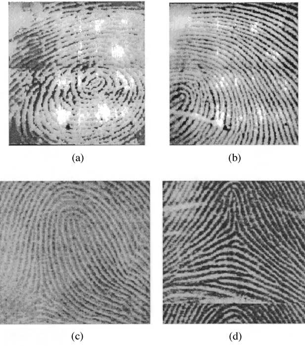 Most of the fingerprint image enhancement methods proposed in the literature are applied to binary images, while some others operate directly on gray-scale images [1,6,7].