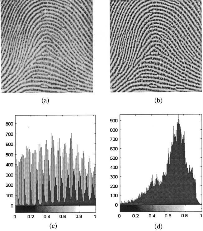 230 S. GREENBERG, ETAL. Figure 6. Typical noise in the thinned binary image: false connections between ridgelines (right), and ridgeline gaps (left). Figure 4.