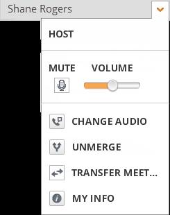 WELCOME TO THE MEETING YOUR CONTROLS (HOST) Click your own name to see controls for your mic and speakers.