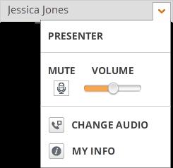 Your role is displayed at the top of details. Mute yourself or adjust your speaking volume. Switch between computer audio and dial-out. GlobalMeet account holders only.