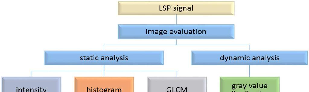 Figure 1 demonstrates the basic setup for LSP measurements.