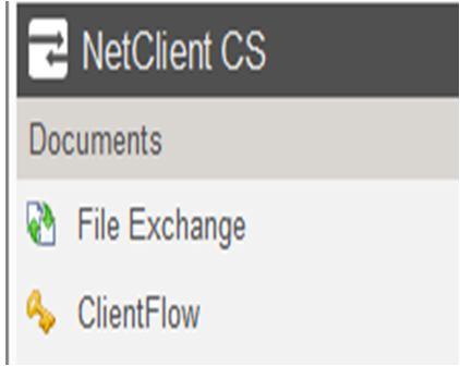 Using File Exchange The File Exchange section of the NetClient CS portal is generally used to transfer backup files