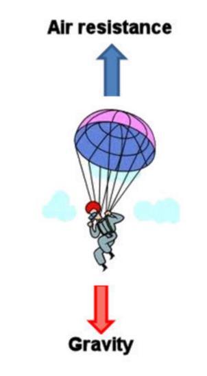 falling parachutist Mainly from second law of thermodynamics, F = ma FU = - cv The model then can be derived with