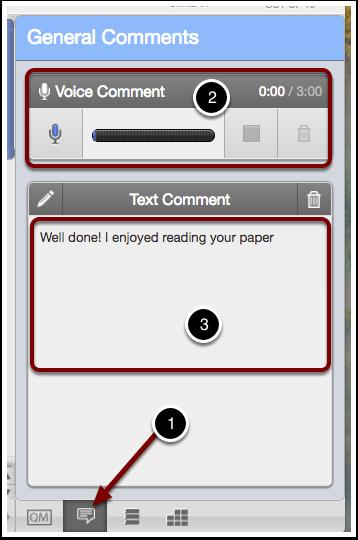 General Comments 1. Click the speech bubble at the bottom of your screen 2. Provide general feedback through the Voice Comment tool 3.