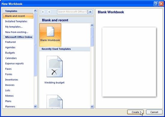 The New Workbook dialog box opens and Blank Workbook is