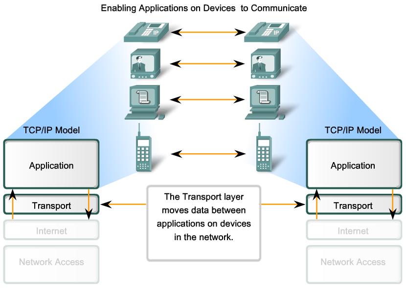 4.1.1 PURPOSE OF THE TRANSPORT LAYER The Transport layer provides for the segmentation of data and the control necessary to reassemble these pieces into the various communication streams.