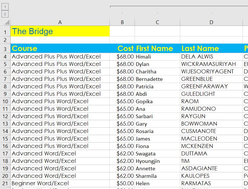 Group the Advanced Plus Word/Excel rows (rows 10 to 16). Note: You can only group contiguous rows or columns.