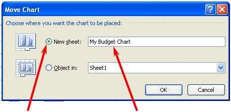 Click on the small circle to the left of New Sheet and change Chart 1 to My Budget Chart as indicated above.
