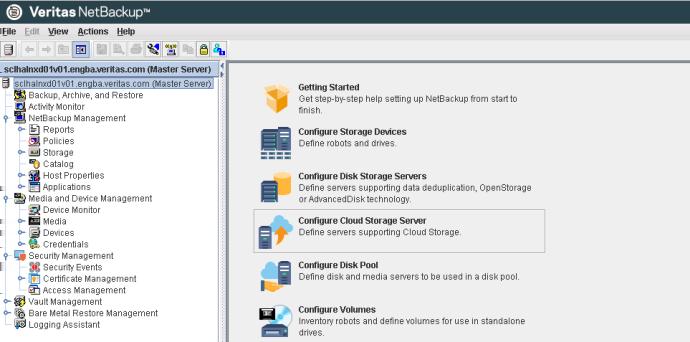 Configuring Veritas Access with the NetBackup client Configuring Veritas Access for NetBackup cloud storage 137 Configuring Veritas Access for