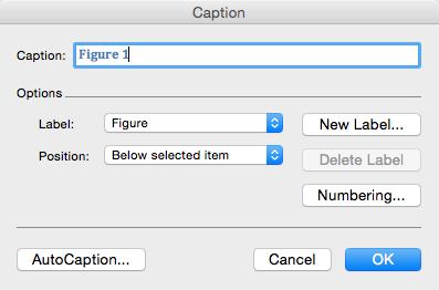 List of figures To insert a caption select your figure by clicking on it. Then do the following: 1. CTRL CLICK on the figure, and then choose CAPTION. 2. The caption dialogue box will now appear.