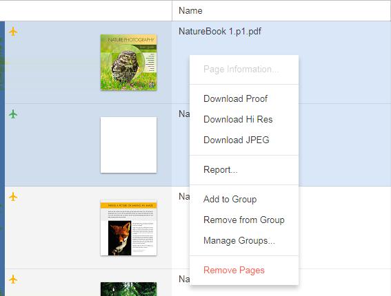 Numbe r 1 Area in the Review window Various tools 2 Page filters 3 Search box: find a specific page by typing all or part of the page name in the Search box.