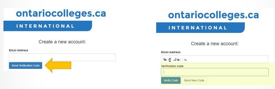 6. Click the Send Verification Code button.
