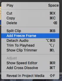 35. Create a freeze frame by scrubbing along your clip until you reach the frame you would