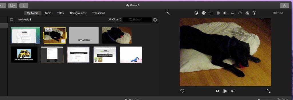 8. Imported video clips, audio tracks and photos will show up
