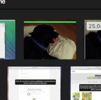 Favorited videos will be marked with a green bar on the top of
