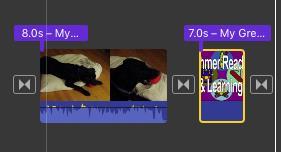 If a clip has sound you will see a waveform indicator on the bottom of the clip in the timeline.