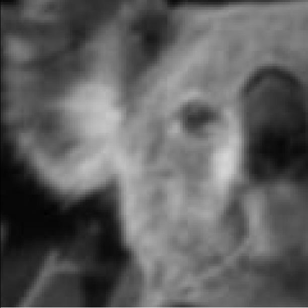 Koala and Castle. Fig. 5 and Fig. 6 provide a visual quality comparison of deblurred images using different methods. Fig. 5 is the zoomed-in part of Koala, which shows more details and better contrast.