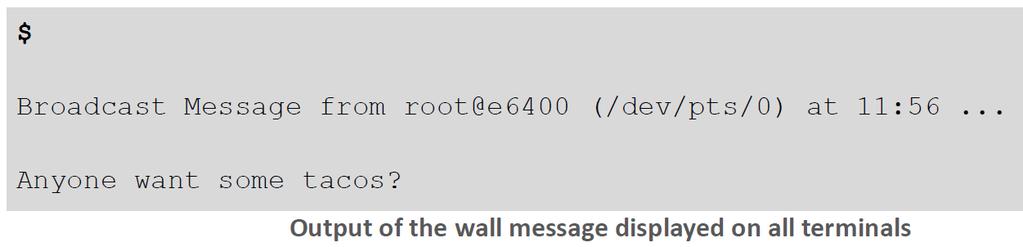 The next example displays a sample of the wall message output as seen by other users on the system.