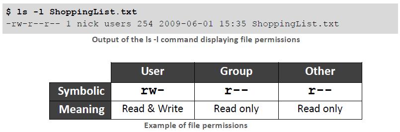 Execute permission is a special flag used for programs, scripts, and directories to indicate they are executable.