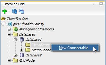 Working with databases Client/server connectable: Creates a client DSN with the TTC_SERVER attribute of one or all the data instances available plus the connection attributes defined in the