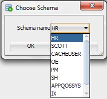 Loading data from Oracle database tables 1. Click the + located above the Oracle database schema navigation tree. Figure 7 5 Add an Oracle database schema The Choose Schema dialog displays.
