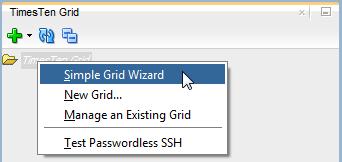Working with the grid In the TimesTen Grid view node, right-click the TimesTen Grid Folder and select Simple Grid Wizard.