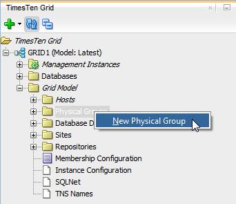 Working with physical groups Define a new physical group To add a physical group to the grid model, ensure that you are on the main SQL Developer page, that you have enabled the TimesTen Grid view,