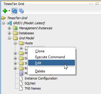 Working with hosts To edit a host, ensure that you are on the main SQL Developer page, that you have enabled the TimesTen Grid view, and that your grid node is expanded. 1.