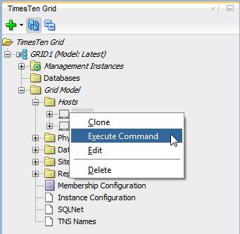 Working with hosts Figure 2 51 Select Execute Command The Execute Command dialog displays. Locate the Excluded folder in the right part of the Execute Command dialog.