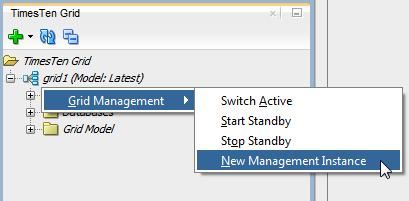 Working with management instances Create a new management instance To create a new management instance, ensure that you are on the main SQL Developer page and that you have enabled the TimesTen Grid