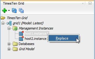 Working with management instances Replace a management instance SQL Developer enables you to replace a management instance with a new instance.