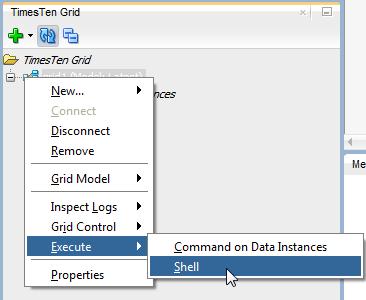 Working with data instances Figure 2 63 Select Shell SQL Developer displays a tab with a shell terminal.