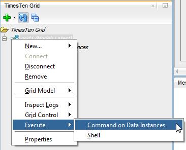 Working with data instances Figure 2 68 Select Execute Command on Data Instances Alternatively, expand the Grid Model option, expand the Hosts options, expand the host on which your instance is