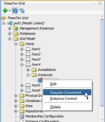 Figure 2 69 Select Execute Command Delete a data instance Then follow the steps, starting on step 2, as described in "Execute a command on a host" on page 2-49.