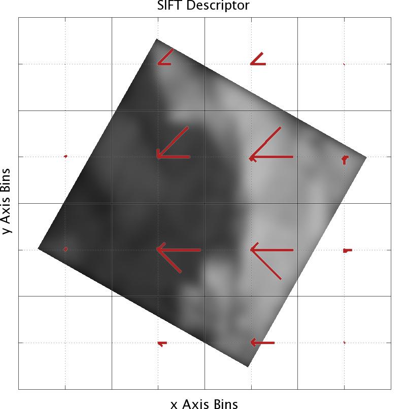 The image gradient angles are added to the appropriate angle bin in the appropriate spatial bin using tri-linear interpolation (interpolation across the spatial