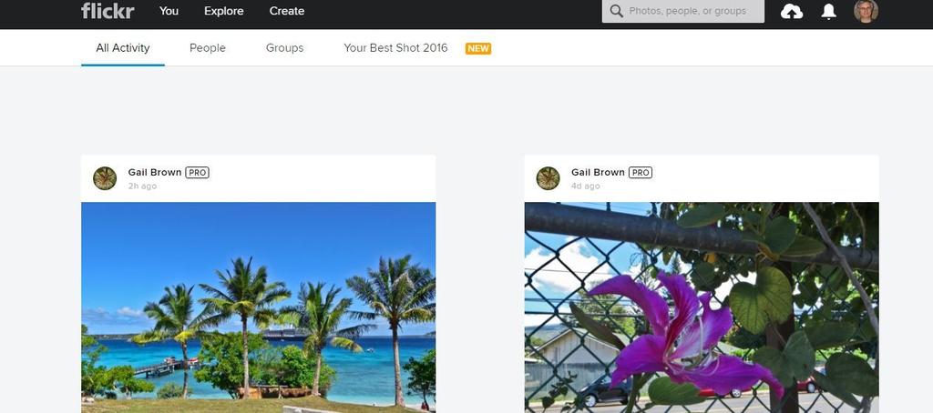 Photo Sharing Picasa- Photo Editing Software - Web Albums Flicker-