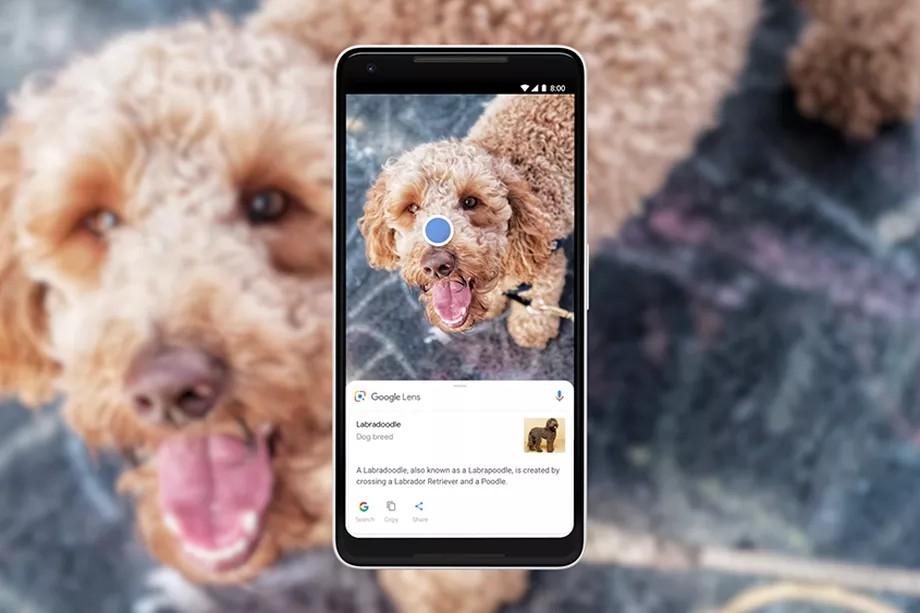 Google Lens Google s AI-powered camera tool can now recognize over a billion items There s also a crossover between Google Lens and Maps this time