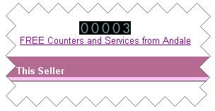 Chapter 5 Getting the Most From Turbo Lister May 25, 2005 7)ADDING A COUNTER If you would like to know how many people have looked at your items, you can add a counter when you design your listing.