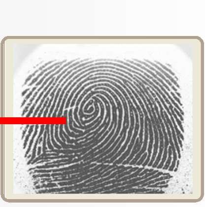 Ensure a value of at least 90% is achieved. Note: Good Quality image, Fingerprint core is center of sensor window Note: The System does not store the finger print.