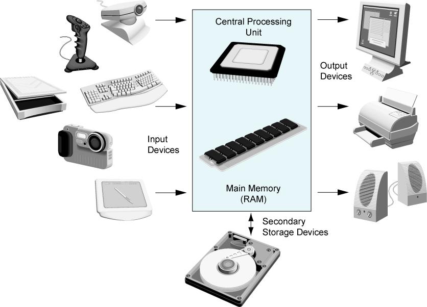 Hardware Components Illustrated Central Processing Unit (CPU) The part that actually RUNS the programs Comprised of: Control Unit Retrieves and decodes program instructions Coordinates activities of