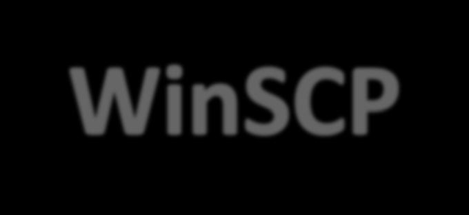 WinSCP 33