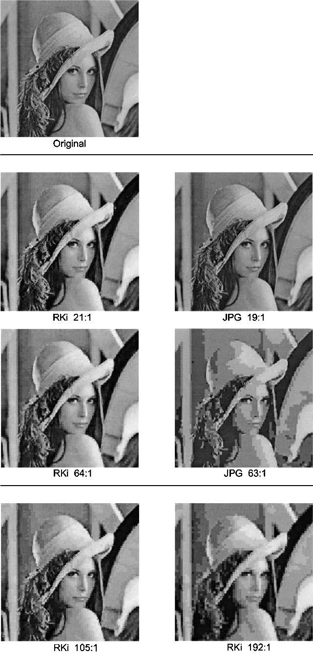 956 IEEE TRANSACTIONS ON NEURAL NETWORKS, VOL. 14, NO. 4, JULY 2003 izing the image produces weights that are lower in magnitude (compared with an unnormalized image) and similar in value.