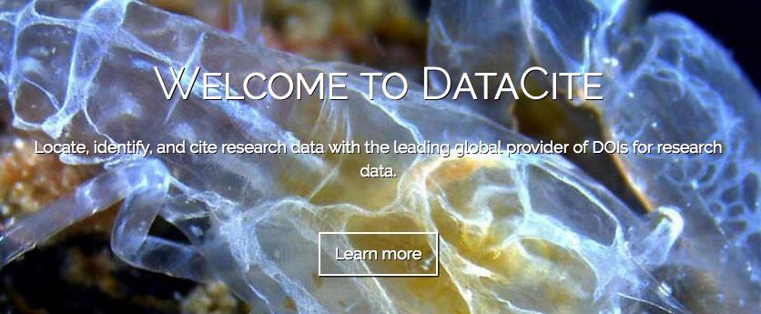 Searching data: The search engine DataCite Multi-disciplinary search engine Gathers metadata for each