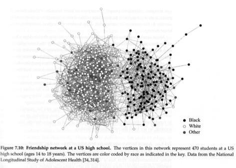 Homophily or Assortative Mixing Shown below is a friendship network among 470 students in a US high school (ages 14-18 years).