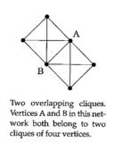 A clique of 4 vertices within a network. Cliques Cliques can also overlap.