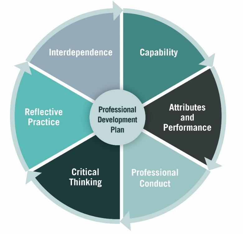 Appendix E Professional Dimensions Model Capability Professional Conduct Critical Thinking Reflective Practice Interdependence Attributes and Performance The technical, legal, product and industry