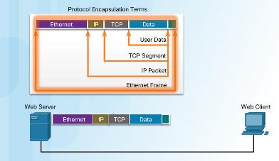 TCP/IP Communication Process From the user perspective, what is the correct order of the protocol stack that is used to prepare a web request for transmission?