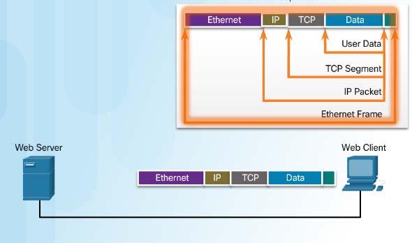 TCP/IP Communication Process (Cont.